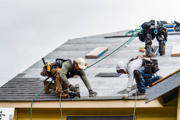 Professional Roofing technician working in Holy Cross, IA